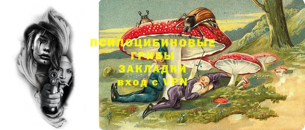гашик Лагань