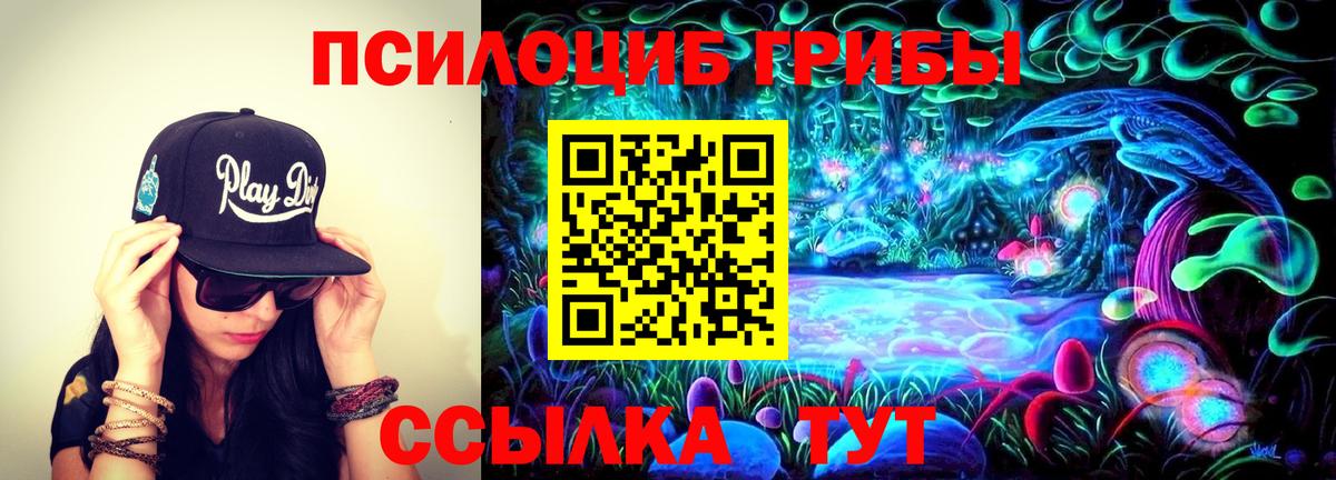 Южноуральск  Псилоцибиновые грибы прущие грибы  Галлюциногенные грибы ЛСД  Вход с VPN 