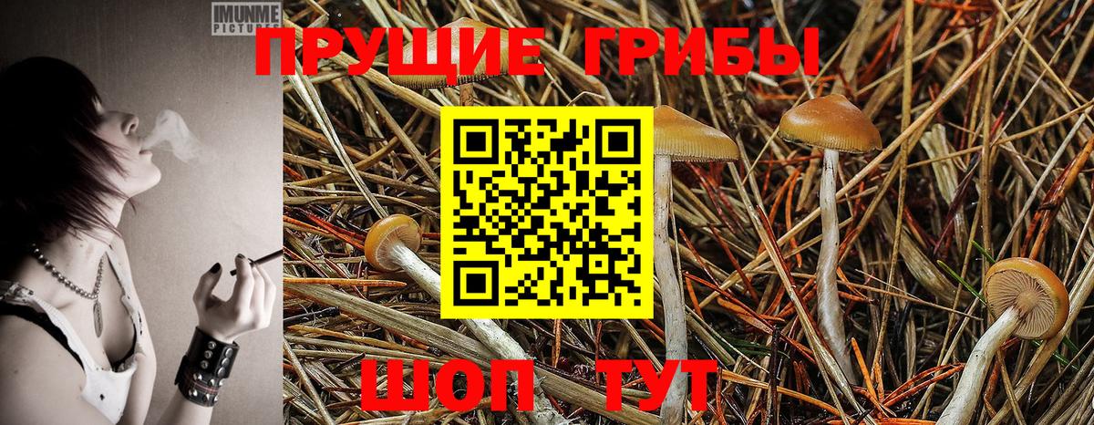 Псилоцибиновые грибы ЛСД Южноуральск